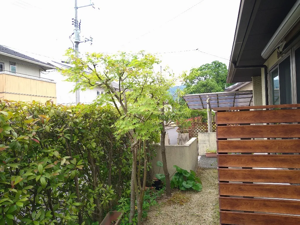 山口市 I邸 剪定