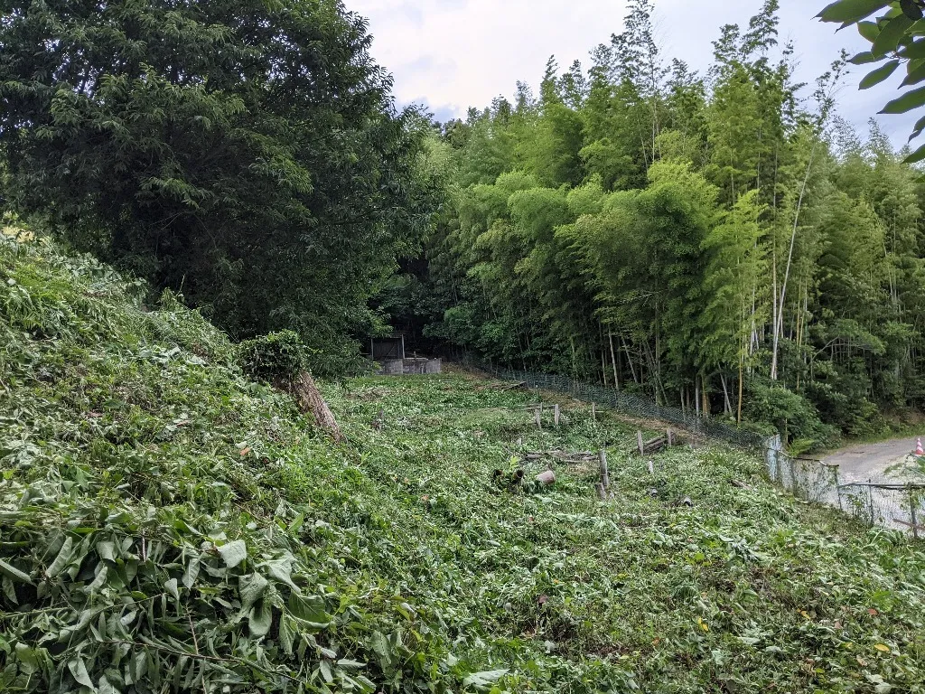 宇部市 S邸 草刈り